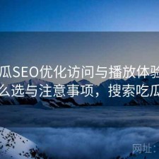 17吃瓜SEO优化访问与播放体验：怎么选与注意事项，搜索吃瓜