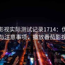 番茄影视实际测试记录1714：优缺点与注意事项，播放番茄影视