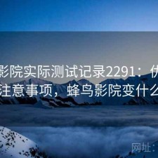 蜂鸟影院实际测试记录2291：优缺点与注意事项，蜂鸟影院变什么了