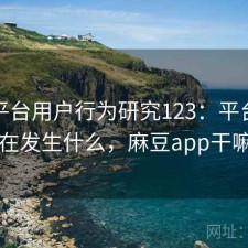 麻豆平台用户行为研究123：平台生态正在发生什么，麻豆app干嘛的
