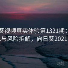 向日葵视频真实体验第1321期：长期表现与风险拆解，向日葵2021视频
