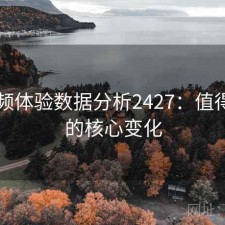 91视频体验数据分析2427：值得关注的核心变化
