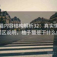 柚子猫内容结构解析32：真实情况与误区说明，柚子猫是干什么的