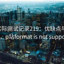 P站实际测试记录219：优缺点与注意事项，p站format is not supported