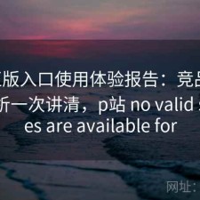 P站正版入口使用体验报告：竞品对比与解析一次讲清，p站 no valid sources are available for