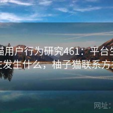 柚子猫用户行为研究461：平台生态正在发生什么，柚子猫联系方式
