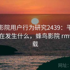 蜂鸟影院用户行为研究2439：平台生态正在发生什么，蜂鸟影院 rmvb 下载