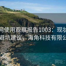 海角网使用观察报告1003：现状分析与避坑建议，海角科技有限公司