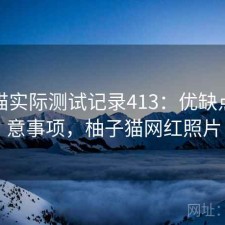 柚子猫实际测试记录413：优缺点与注意事项，柚子猫网红照片