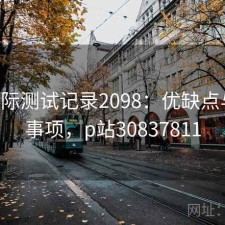 P站实际测试记录2098：优缺点与注意事项，p站30837811