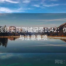 芭乐视频实际测试记录1042：优缺点与注意事项