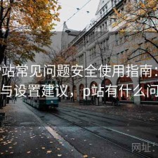 正规P站常见问题安全使用指南：避坑指南与设置建议，p站有什么问题吗