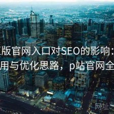 P站正版官网入口对SEO的影响：如何使用与优化思路，p站官网全称