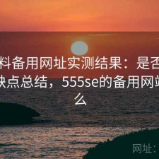 51爆料备用网址实测结果：是否值得与优缺点总结，555se的备用网站是什么