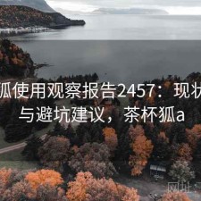 茶杯狐使用观察报告2457：现状分析与避坑建议，茶杯狐a