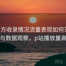 P站官方收录情况流量表现如何？避坑指南与数据观察，p站播放量高盘点