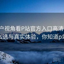 从用户视角看P站官方入口高清播放：怎么选与真实体验，你知道p站吗