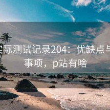 P站实际测试记录204：优缺点与注意事项，p站有啥