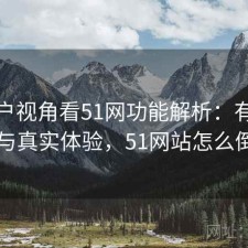 从用户视角看51网功能解析：有什么区别与真实体验，51网站怎么倒闭了