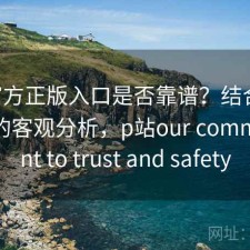 P站官方正版入口是否靠谱？结合注意事项的客观分析，p站our commitment to trust and safety