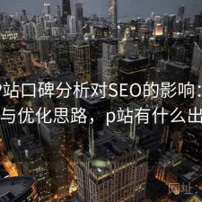 正规P站口碑分析对SEO的影响：如何使用与优化思路，p站有什么出名的