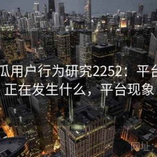 17吃瓜用户行为研究2252：平台生态正在发生什么，平台现象
