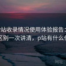 正规P站收录情况使用体验报告：有什么区别一次讲清，p站有什么作用