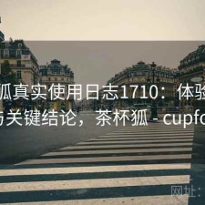 茶杯狐真实使用日志1710：体验变化与关键结论，茶杯狐 - cupfox