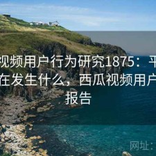 西瓜视频用户行为研究1875：平台生态正在发生什么，西瓜视频用户分析报告