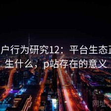 P站用户行为研究12：平台生态正在发生什么，p站存在的意义