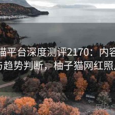 柚子猫平台深度测评2170：内容变化与趋势判断，柚子猫网红照片