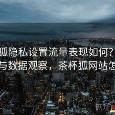 茶杯狐隐私设置流量表现如何？使用技巧与数据观察，茶杯狐网站怎么样