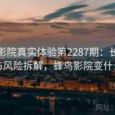 蜂鸟影院真实体验第2287期：长期表现与风险拆解，蜂鸟影院变什么了