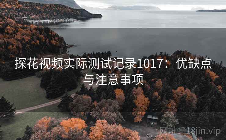 探花视频实际测试记录1017：优缺点与注意事项
