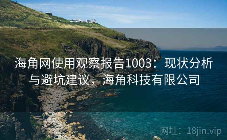 海角网使用观察报告1003：现状分析与避坑建议，海角科技有限公司  第1张