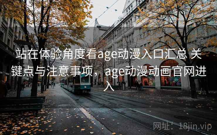 站在体验角度看age动漫入口汇总 关键点与注意事项，age动漫动画官网进入  第2张