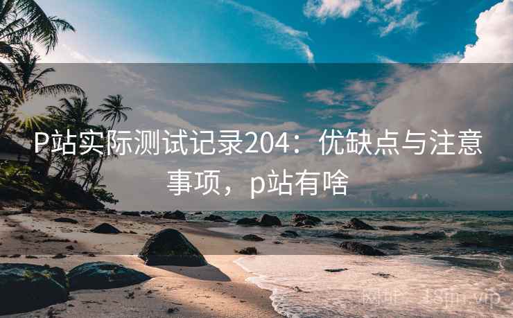 P站实际测试记录204：优缺点与注意事项，p站有啥  第1张