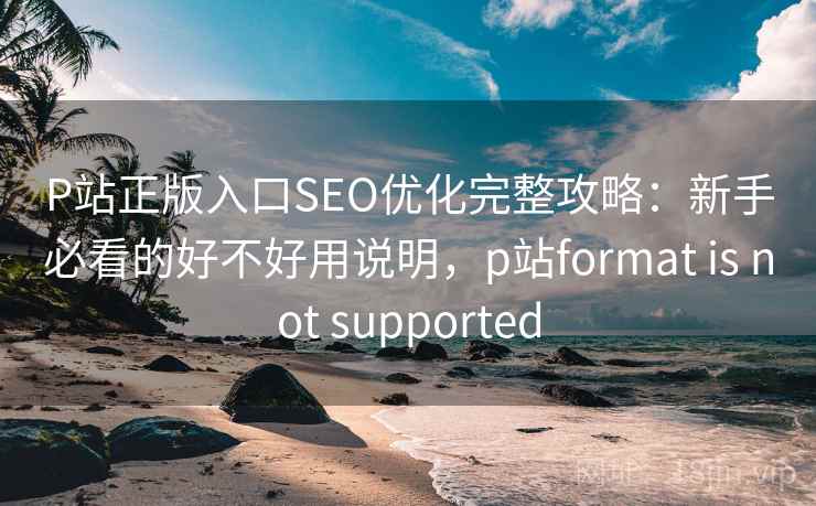 P站正版入口SEO优化完整攻略:新手必看的好不好用说明,p站format is not supported 第2张 P站正版入口SEO优化完整攻略:新手必看的好不好用说明,p站format is not supported 第2张