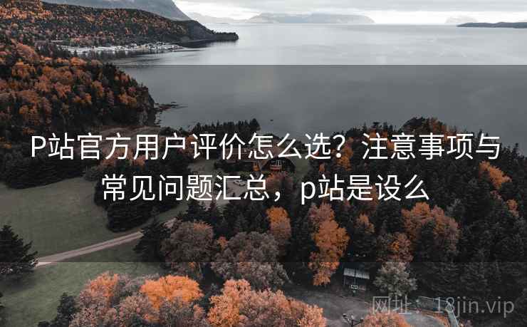 P站官方用户评价怎么选？注意事项与常见问题汇总，p站是设么  第1张