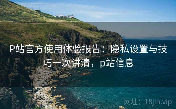 P站官方使用体验报告:隐私设置与技巧一次讲清,p站信息 第2张 P站官方使用体验报告:隐私设置与技巧一次讲清,p站信息 第2张