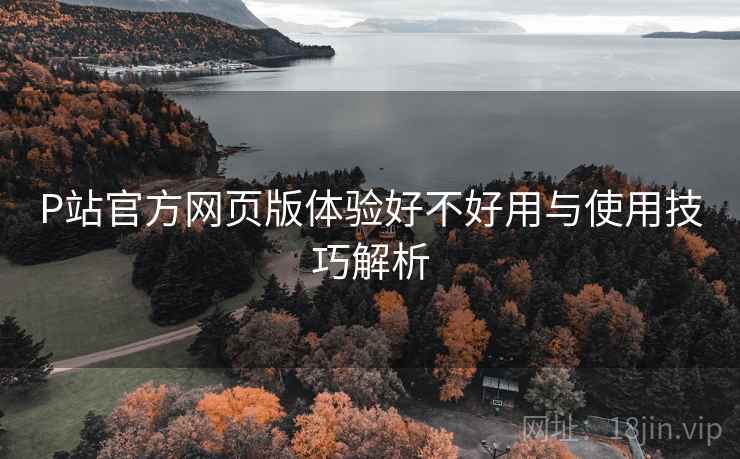 P站官方网页版体验好不好用与使用技巧解析 第2张 P站官方网页版体验好不好用与使用技巧解析 第2张