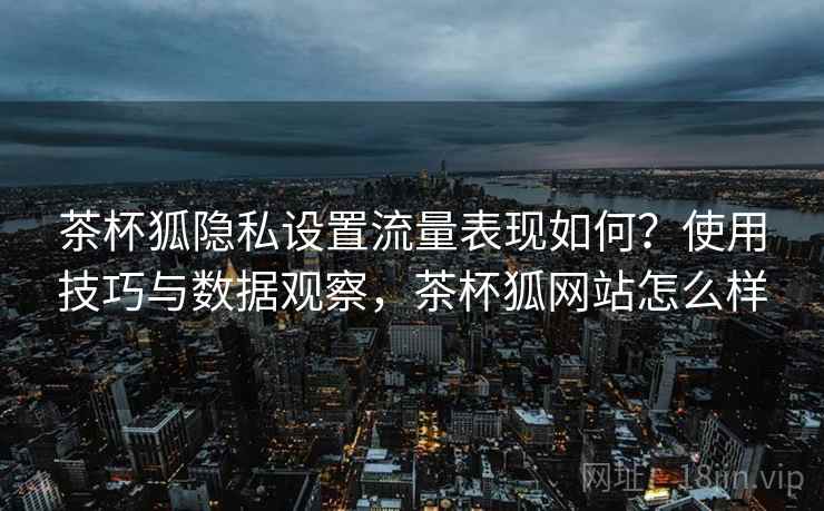 茶杯狐隐私设置流量表现如何？使用技巧与数据观察，茶杯狐网站怎么样  第2张