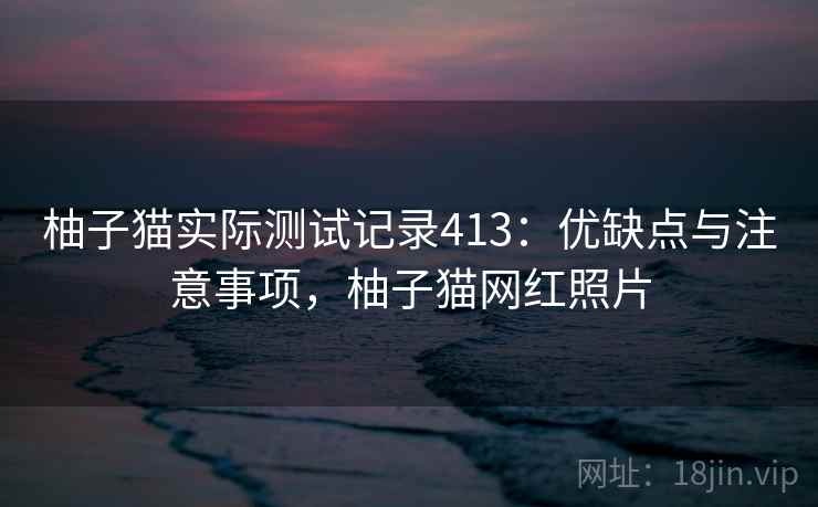 柚子猫实际测试记录413：优缺点与注意事项，柚子猫网红照片  第2张