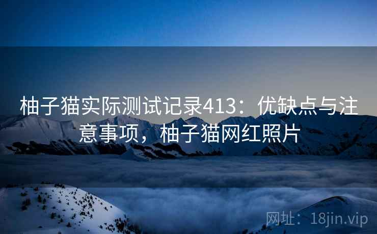 柚子猫实际测试记录413：优缺点与注意事项，柚子猫网红照片  第1张