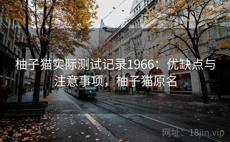 柚子猫实际测试记录1966:优缺点与注意事项,柚子猫原名 第2张 柚子猫实际测试记录1966:优缺点与注意事项,柚子猫原名 第2张