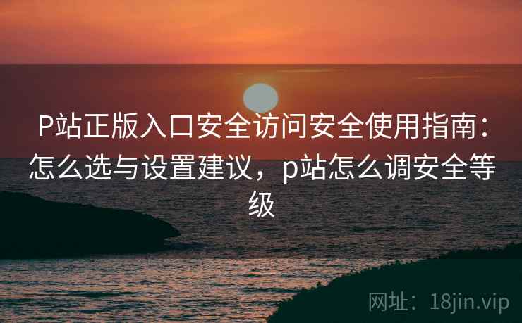 P站正版入口安全访问安全使用指南：怎么选与设置建议，p站怎么调安全等级  第2张