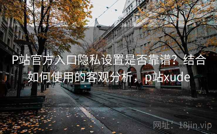 P站官方入口隐私设置是否靠谱？结合如何使用的客观分析，p站xude  第2张