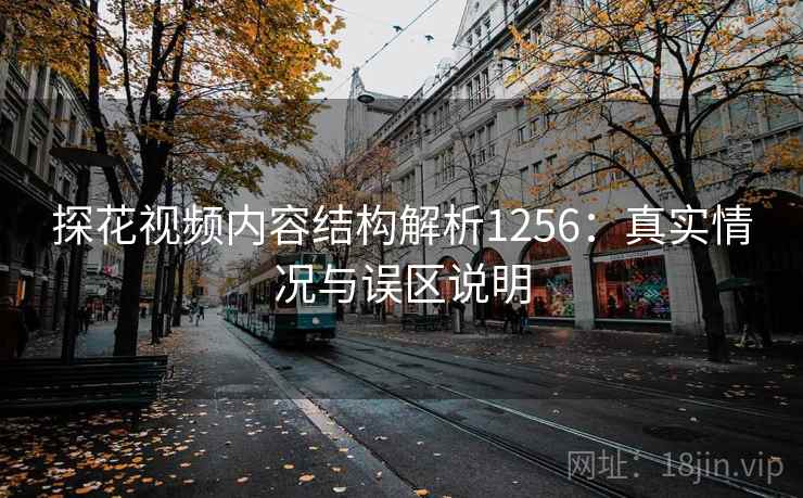 探花视频内容结构解析1256：真实情况与误区说明  第2张
