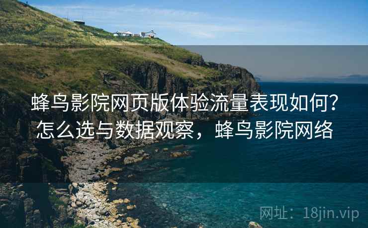 蜂鸟影院网页版体验流量表现如何？怎么选与数据观察，蜂鸟影院网络  第1张