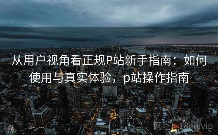 从用户视角看正规P站新手指南：如何使用与真实体验，p站操作指南  第1张